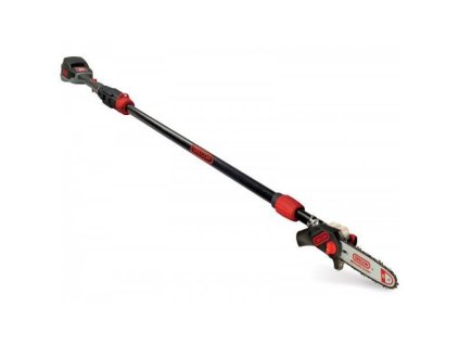 Oregon PS250 Akku-Baumsäge 36V