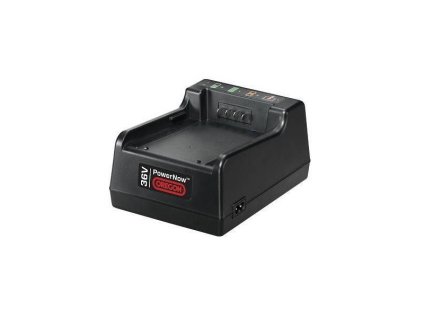 Standard-Ladegerät C600