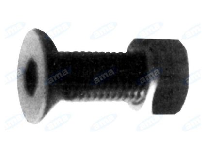 SCHRAUBE TSPEI 12X70