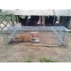 Professionelle Falle für Füchse, Marder, Otter und Katzen TRAP H150x34x34V2