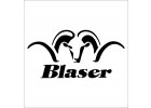 Blaser