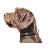 biothanehalsung noble am hund