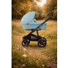 Turquoise kočárek na louce