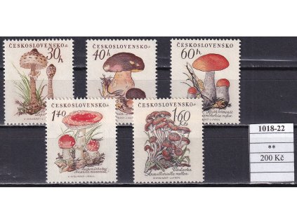 ČSR II 1018-22 svěží