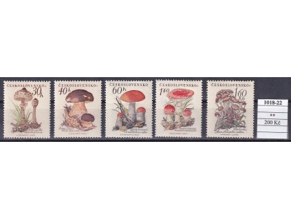 ČSR II 1018-22 svěží