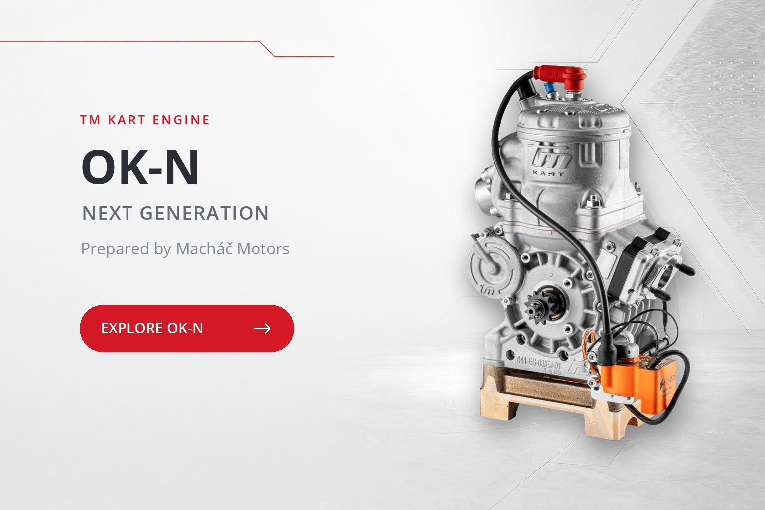 TM Kart S3 OKN racing engine prepared by Macháč Motors