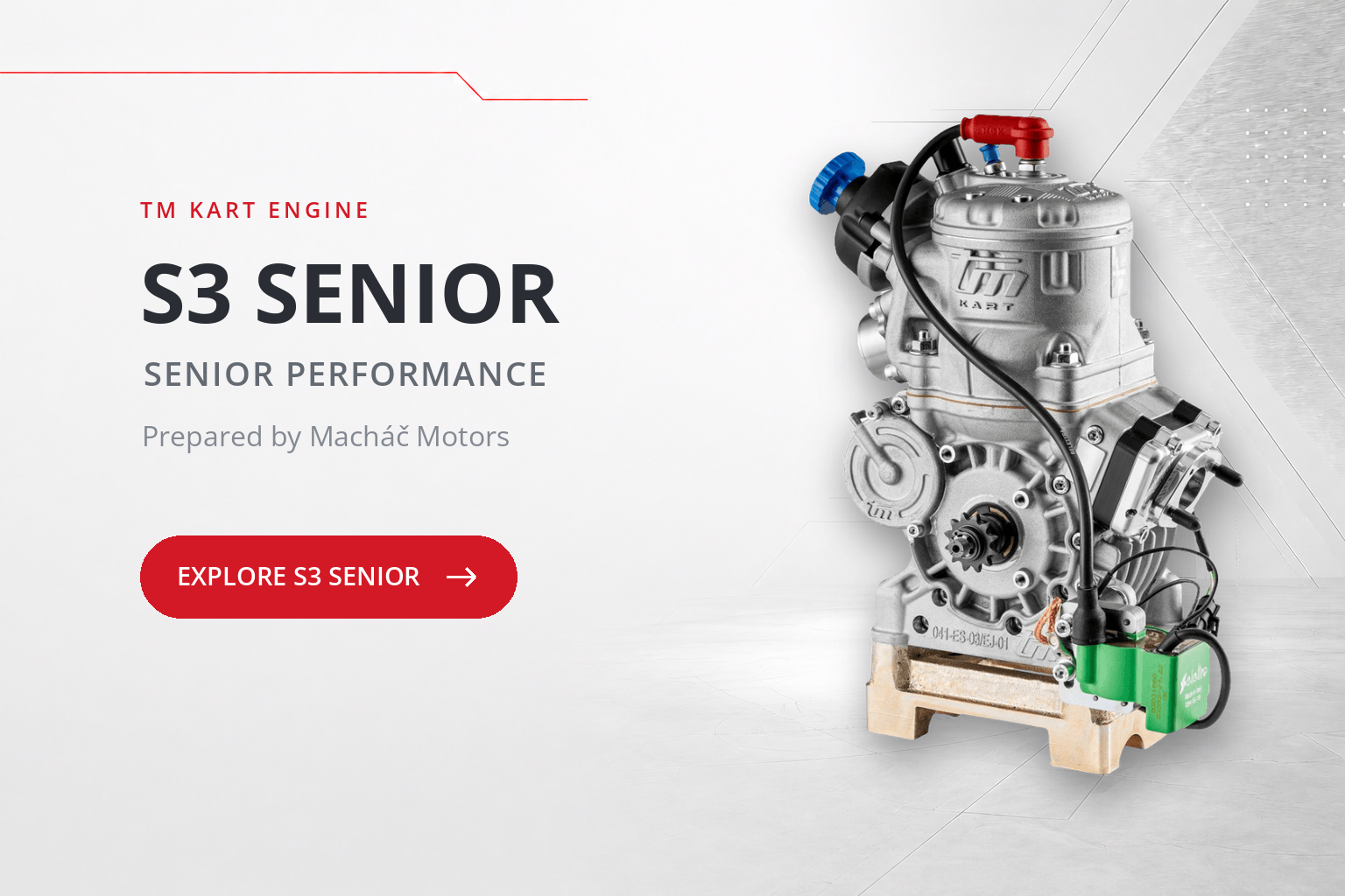 TM Kart S3 OK Senior racing engine prepared by Macháč Motors