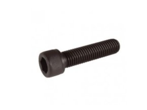 Bolt Black, M6 x 25 mm
