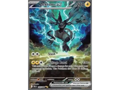 Zekrom ex BLK 166