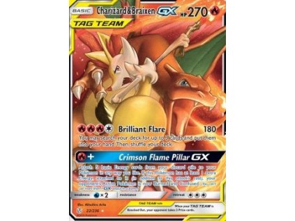 Charizard&Braixen (22/136)