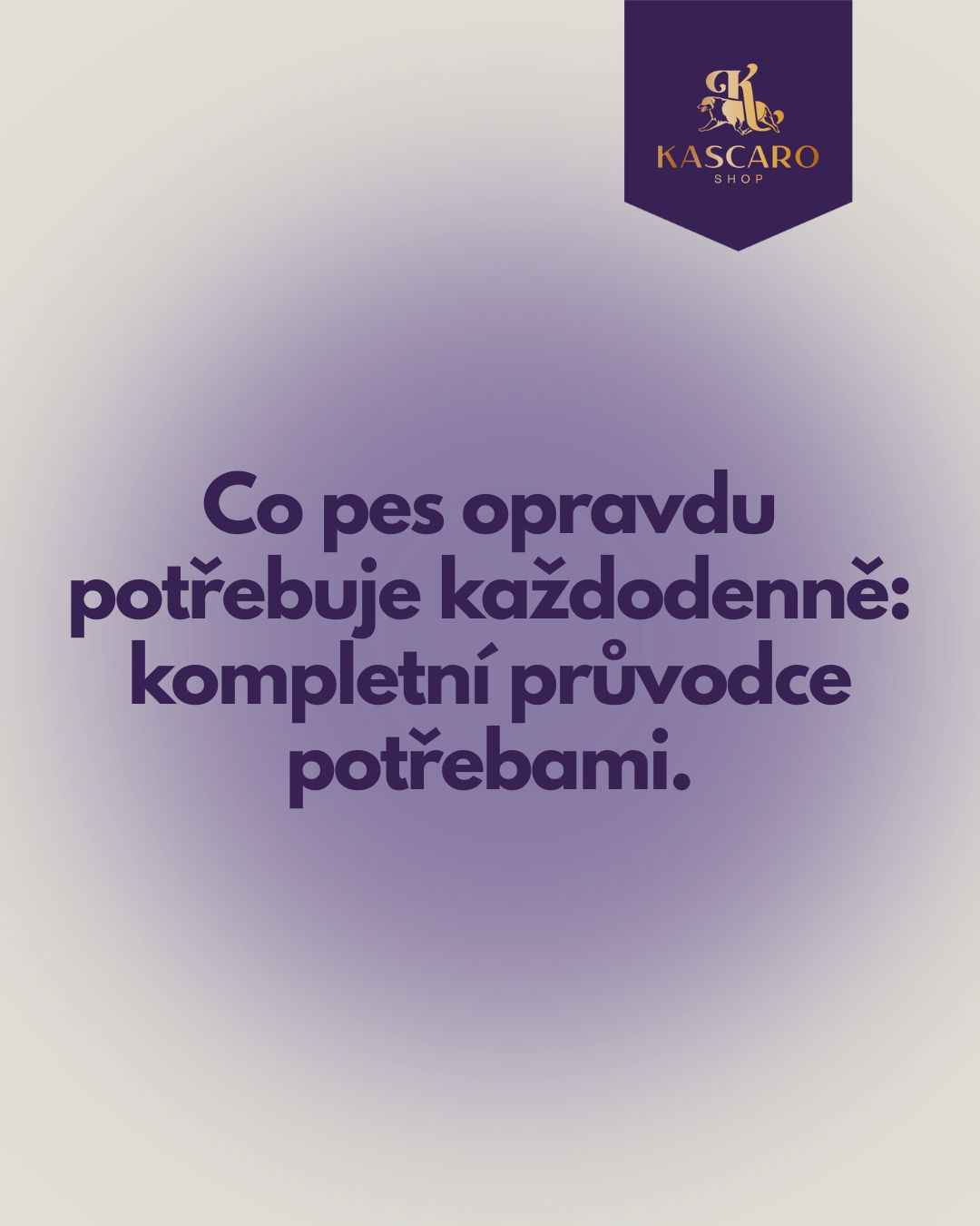 Co pes opravdu potřebuje každodenně: kompletní průvodce potřebami