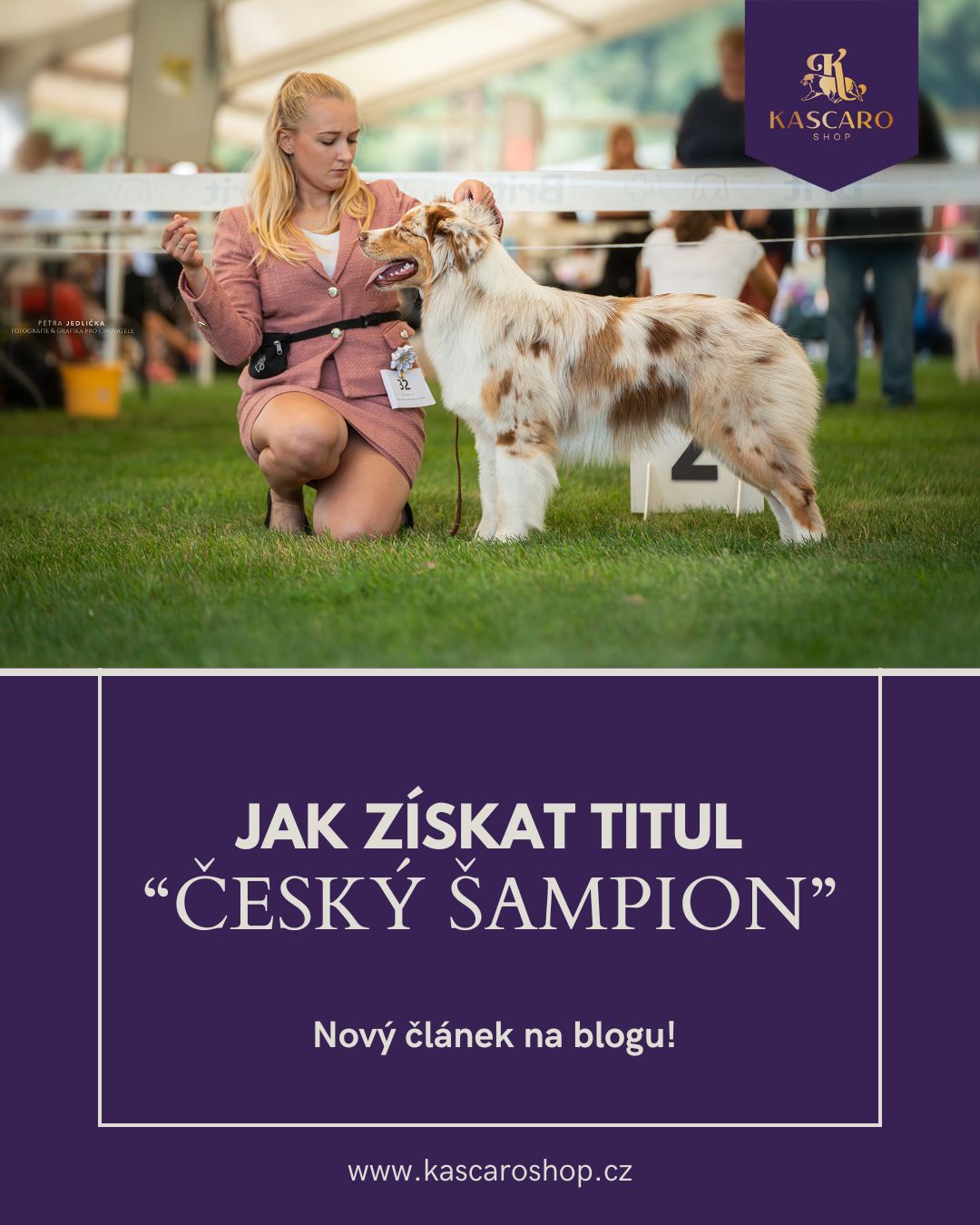 Jak získat titul "Český šampion"