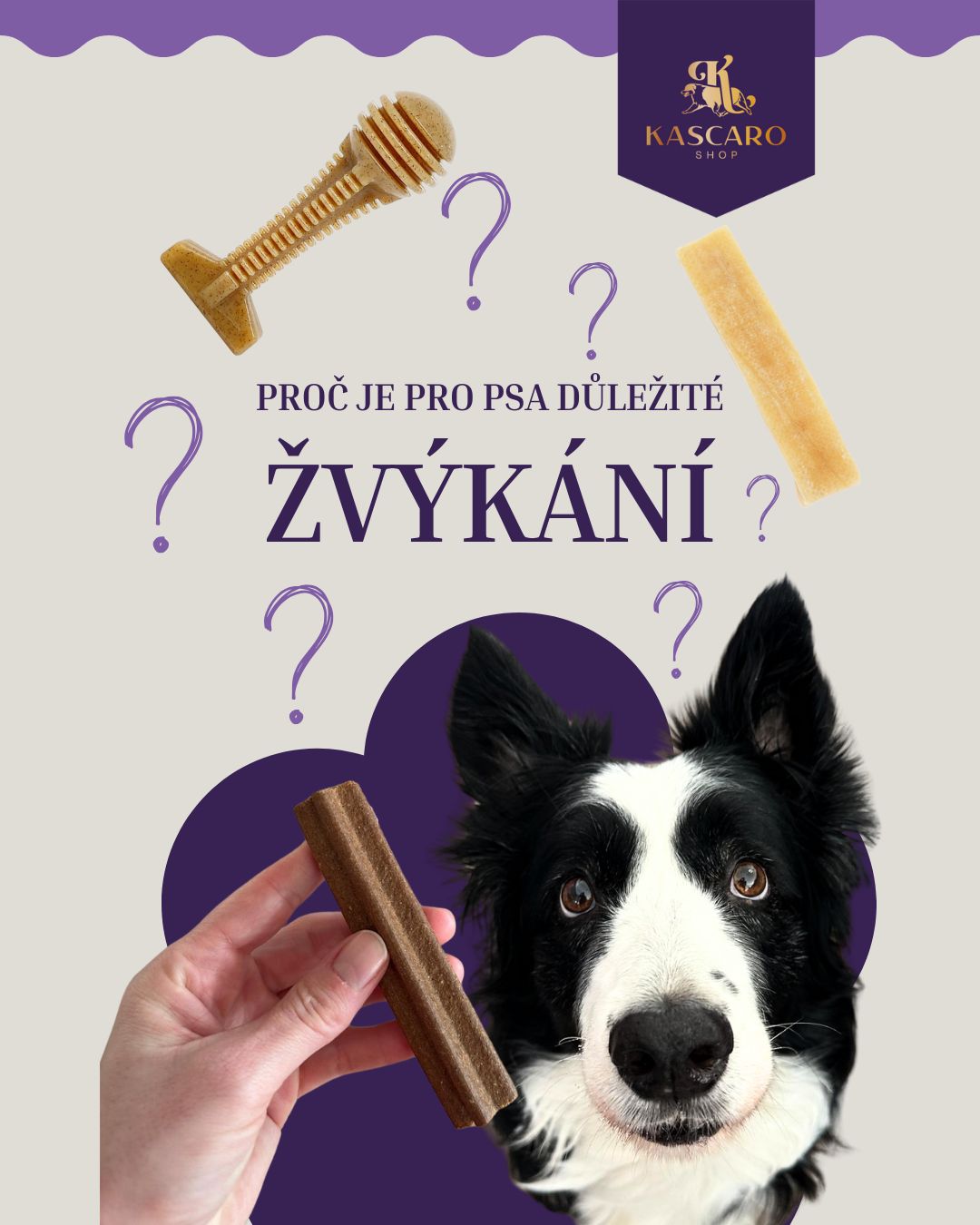 Proč je žvýkání důležité?