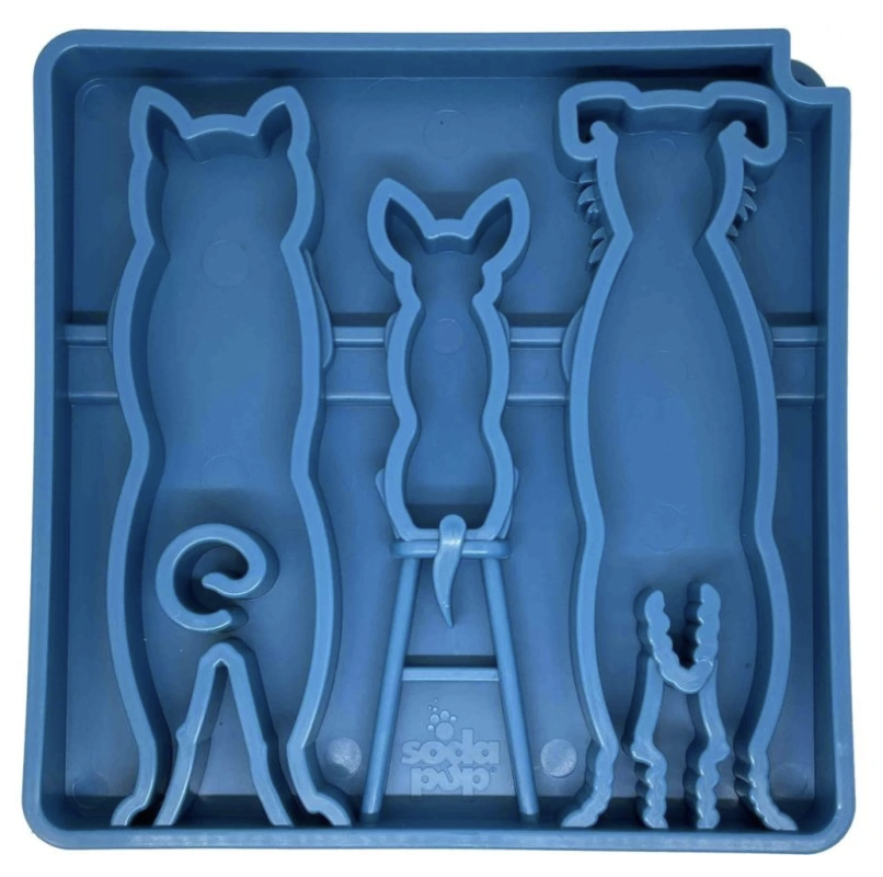 Pohyb psa v zimě: jak ho správně podpořit (i doma!)