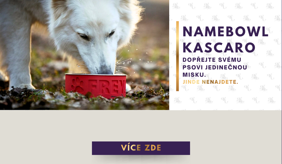 NAMEBOWL