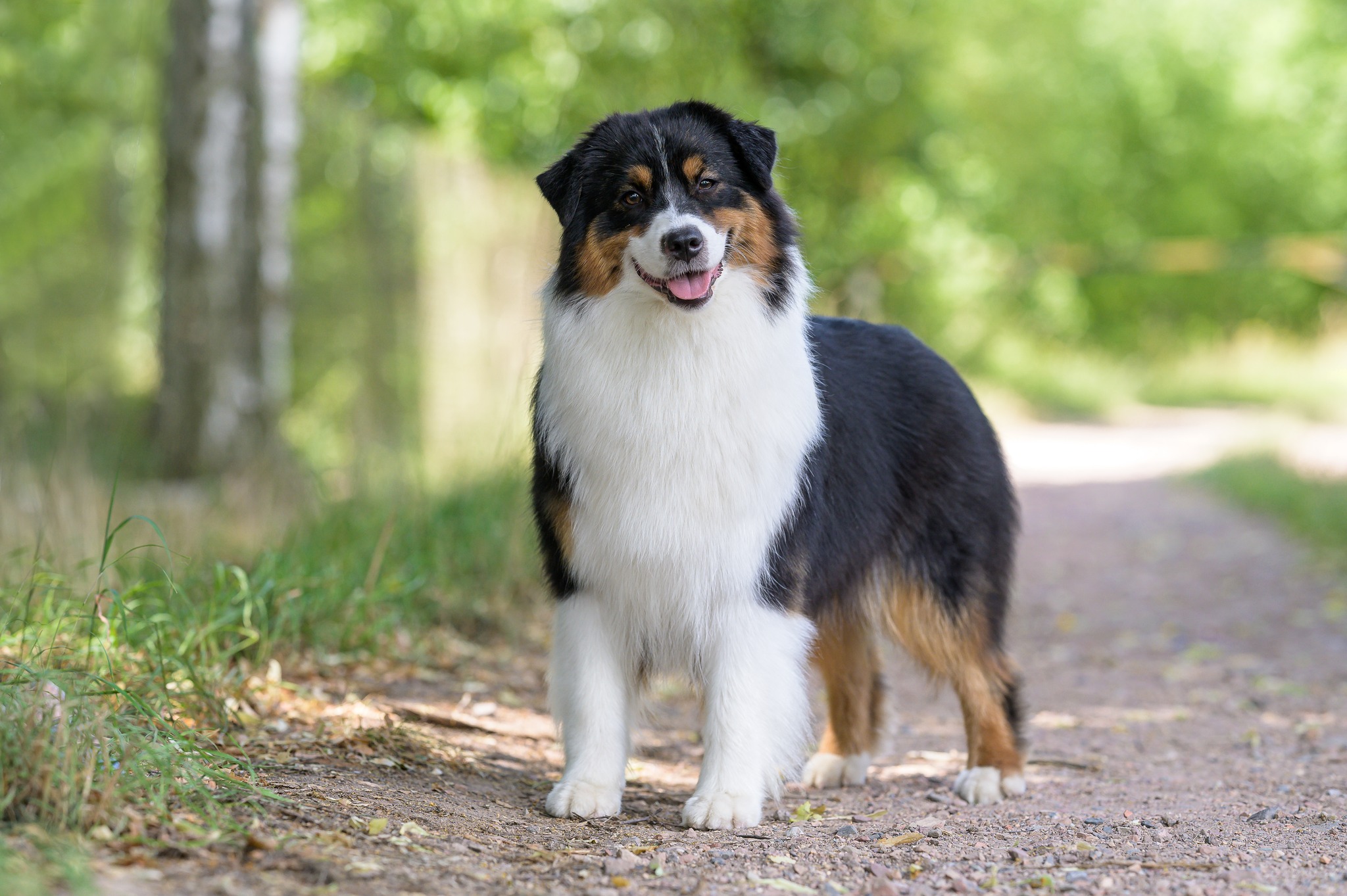 518212113_24578392158413103_2813515643150768089_n