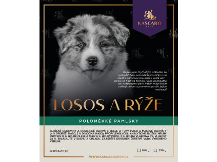 losos a ryze