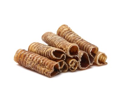 trachea 20cm