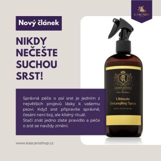 ❌ Nikdy nečešte suchou srst. Zní to jednoduše, ale právě tady dělá chybu spousta majitelů psů. Suchá srst se láme, cuchá a...