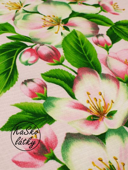 Vaflovina květ jabloně