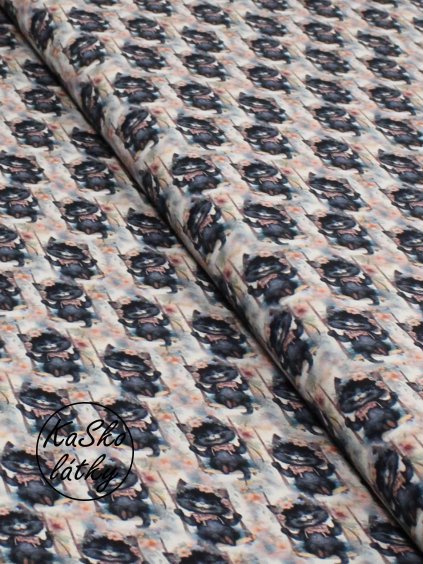 Bavlněná teplákovina kočky na houpačkách