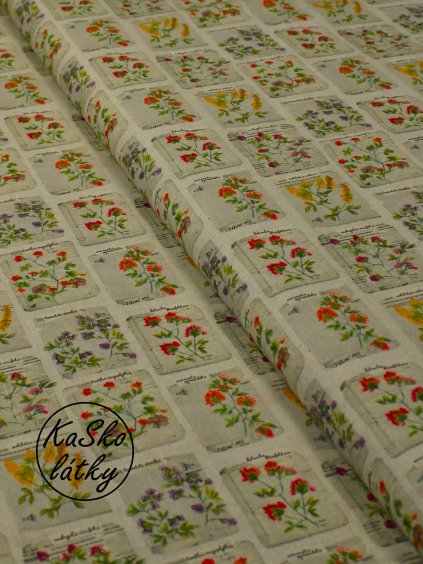Bavlněná látka byliny z herbáře