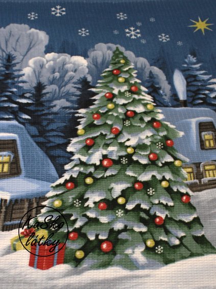 Vaflovina zasněžená vesnice