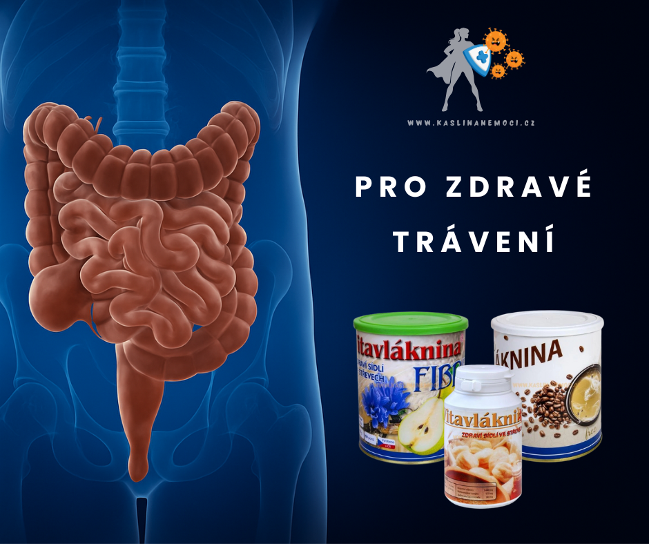 Proč je vláknina tak důležitá a jíme jí dost??