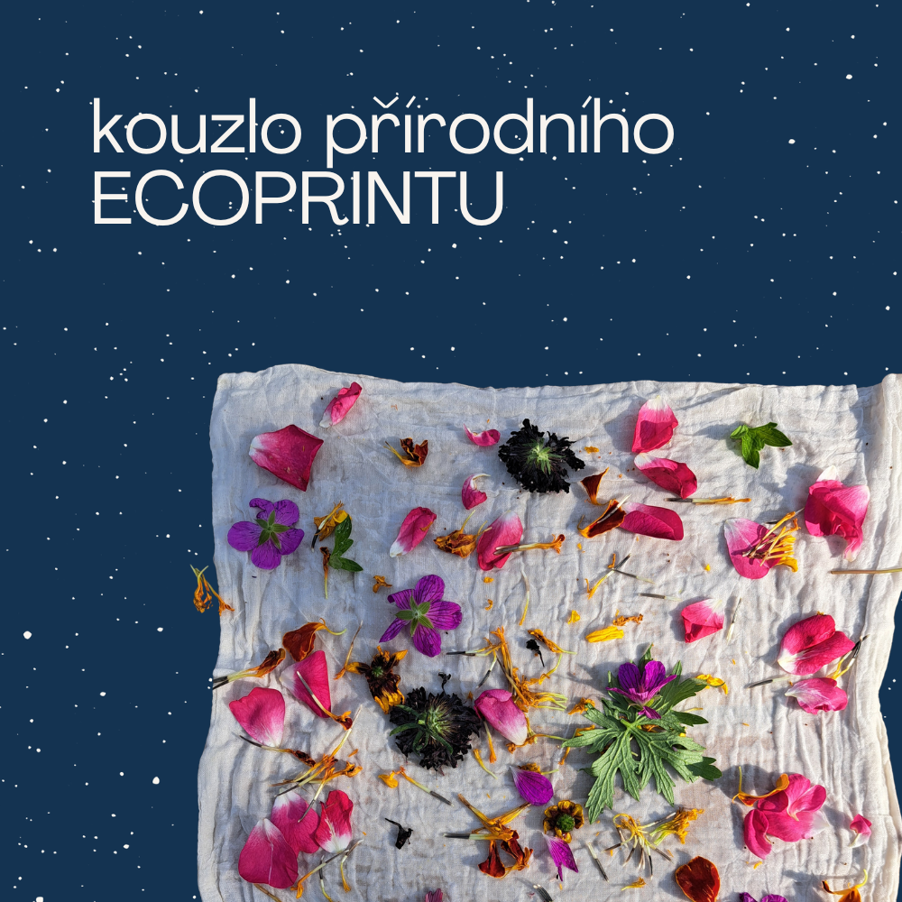 Workshop: The Magic of Natural Ecoprinting