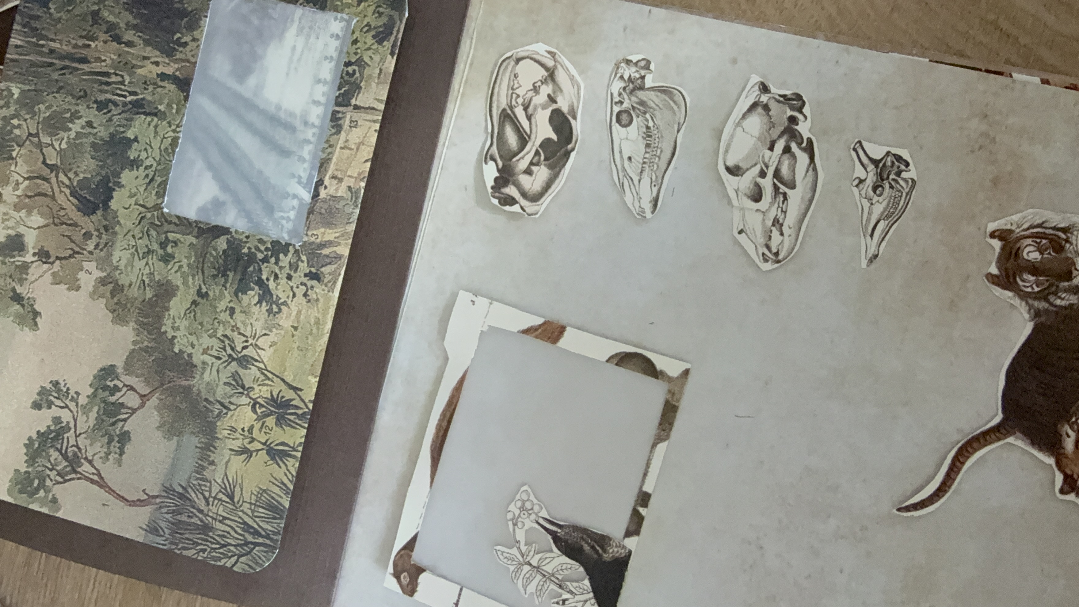 Výběr motivů a materiálů pro scrapbook The Pepin Press