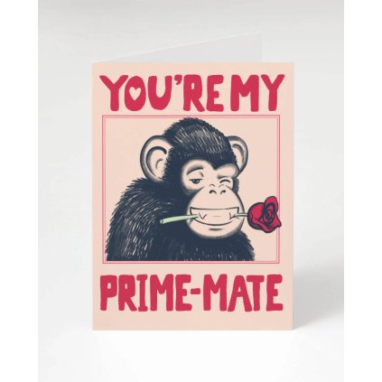 Cognitive Surplus přání You´re my Prime Mate