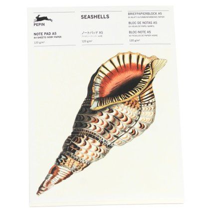 The Pepin Press A5NP Seashells 1000x1000
