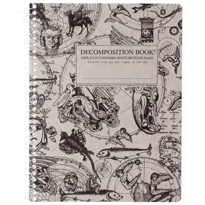 Decomposition čistý zápisník, Gargoyles