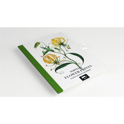 NEW WEBSITE art portfolios covers Flower Prints 01 1920x1080