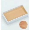 Kuretake Gansai Tambi single Rose Beige