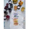 From Plant to Artwork: Making Natural Inks