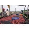 Beansmith´s výběrová káva Muki Fruity, 250 g 2