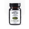 KWZ inkoust Iron Gall Green Gold
