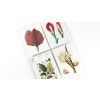 The Pepin Press blok dopisních papírů, Botanical, A5 2