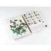 Pepin press omalovanky natural history 007
