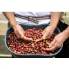 Beansmith´s výběrová káva Atunkaa W Decaf, 250 g 7