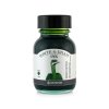 write and draw inks colorieren sketchen tusche tinte green ostrich 50 ml