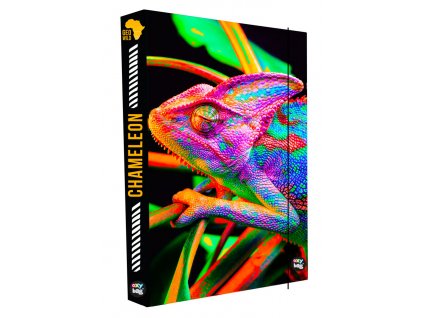 box-na-sesity-a4-jumbo-chameleon