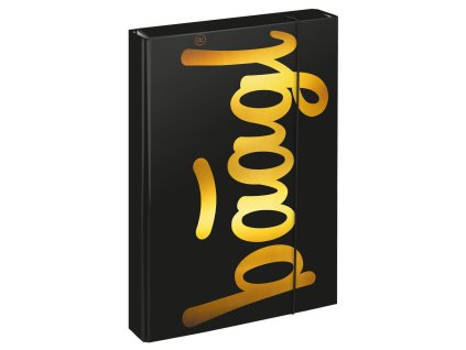 BAAGL Box na sešity A4 Jumbo Gold