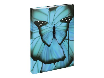 BAAGL Box na sešity A4 Butterfly