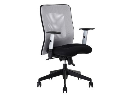 16332 1 zidle calypso 12a11 svetle seda