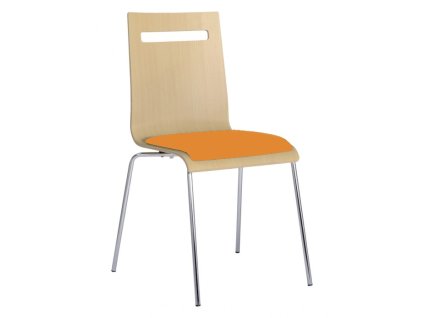 16611 1 zidle jidelni elsi tc buk d9 merunkova