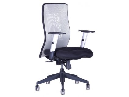 17313 1 zidle calypso xl 12a11 seda