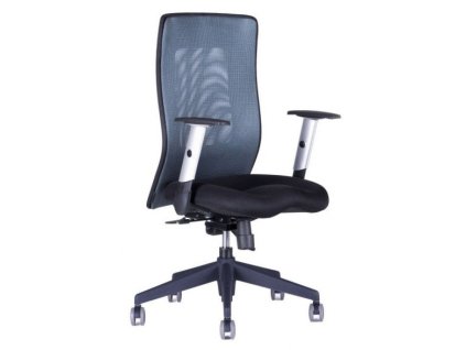 17316 1 zidle calypso xl 1211 antracit