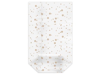 Sáček Hvězdy zlaté 18 x 30 + 7,5cm